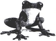 Frog Device Device mark 2043954 Trademark