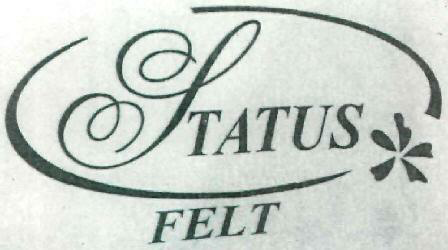 Status Felt Device mark 2507428 Trademark