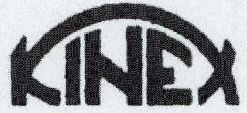Kinex With Device Device mark 1503988 Trademark
