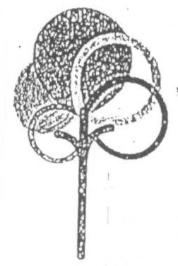 Logo (label) Device mark 1539066 Trademark