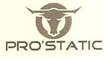 Pro'static Device mark 2434011 Trademark