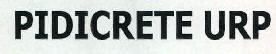 Pidicrete Urp Device mark 2472723 Trademark