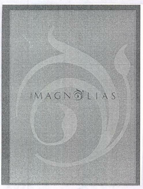 Magn Lias With Label Device mark 1502507 Trademark