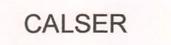 Calser Device mark 2553881 Trademark