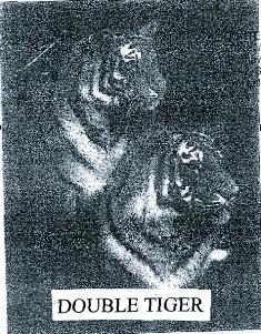 Double Tiger (device Of Tiger) Device mark 2723018 Trademark