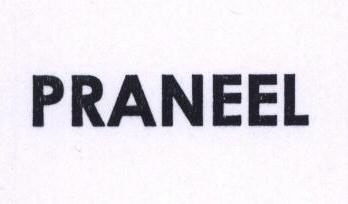 Praneel Device mark 1528958 Trademark