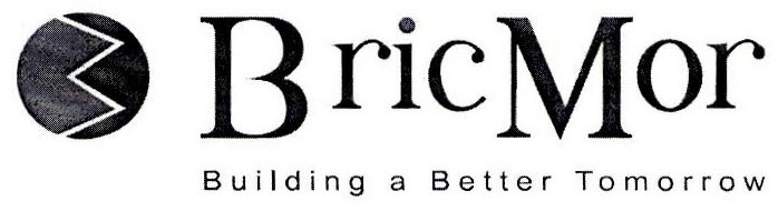 Bric Mor Device mark 2536235 Trademark