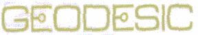 Geodesic (label) Device mark 1495798 Trademark