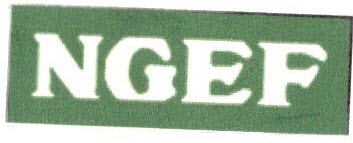 Ngef Device mark 2518465 Trademark