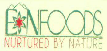 Eonfoods Device mark 2986793 Trademark