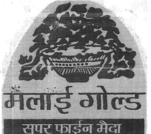 Malai Gold Super Fine Maida (device) Device mark 2416901 Trademark