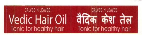 Vedic Hair Oil Device mark 2617809 Trademark