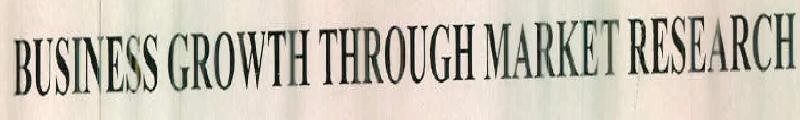 Business Growth Through Market Research Device mark 2411205 Trademark