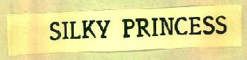 Silky Princess Device mark 457336 Trademark