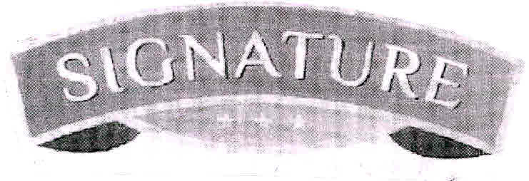 Signature Device mark 2991813 Trademark