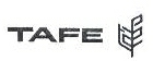 Tafe Device mark 1731639 Trademark