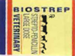 Biostrep Device mark 906215 Trademark