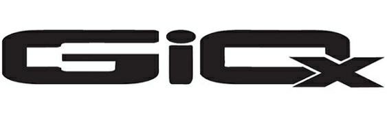 Giox Device mark 2956321 Trademark