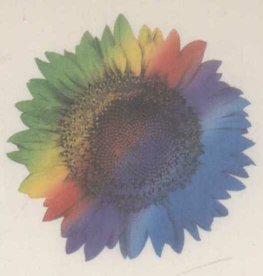 (sun Flower Device) Device mark 784820 Trademark