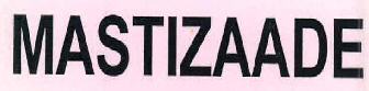 Mastizaade Device mark 2772964 Trademark