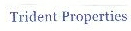 Trident Properties Device mark 1667347 Trademark
