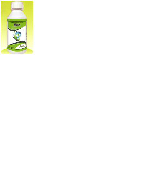 Milo (label) Device mark 2567254 Trademark