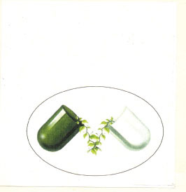 Capsul With Leaf Device mark 866390 Trademark