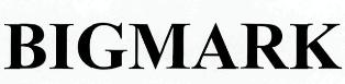 Bigmark Device mark 2483563 Trademark