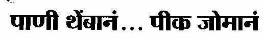 Pani Tebbane ... Peake Jomane (marathi Language) Device mark 1535552 Trademark