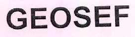 Geosef Device mark 2488699 Trademark