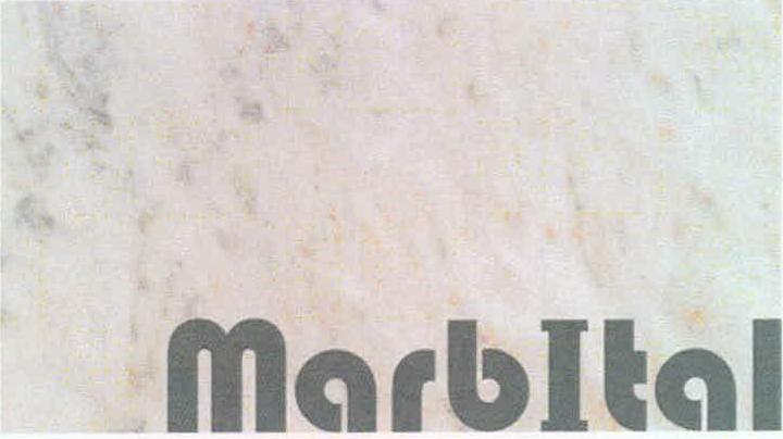 Marbital Device mark 2216797 Trademark