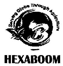 Hexaboom Device mark 2901461 Trademark