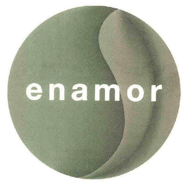 Enamor Device mark 2720147 Trademark