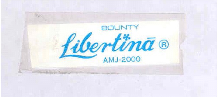 Libertina Device mark 937065 Trademark