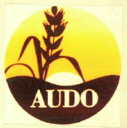 Audo Device mark 2960876 Trademark
