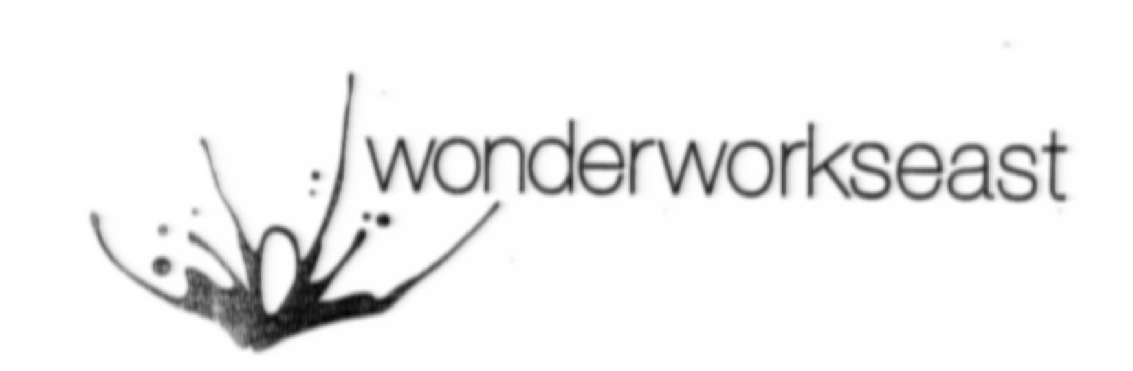 Wonderworkseast Device mark 2255950 Trademark