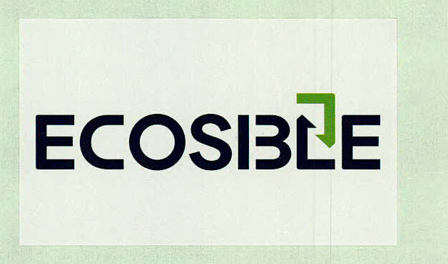 Ecosible Device mark 2881870 Trademark