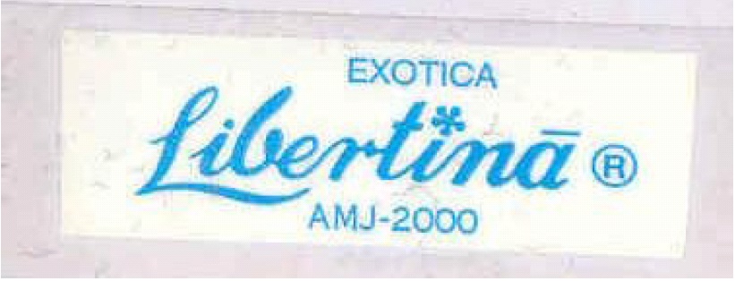 Libertina Device mark 937062 Trademark