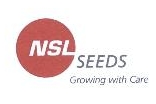 Nsl Seeds Device mark 2120236 Trademark