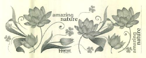 Amazing Nature Device mark 2953057 Trademark
