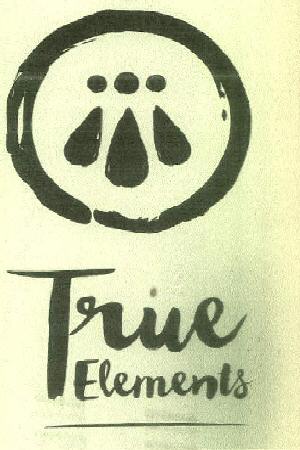 True Elements Device mark 2918445 Trademark