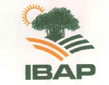 Ibap (device Of Tree) Device mark 2354238 Trademark