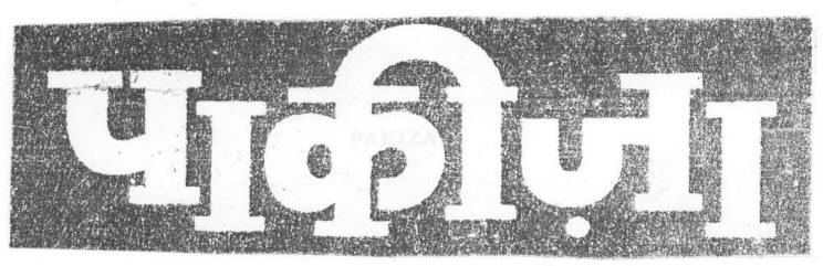 Pakiza (device) Device mark 1669458 Trademark