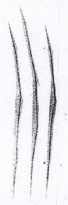 Logo Device mark 1574936 Trademark
