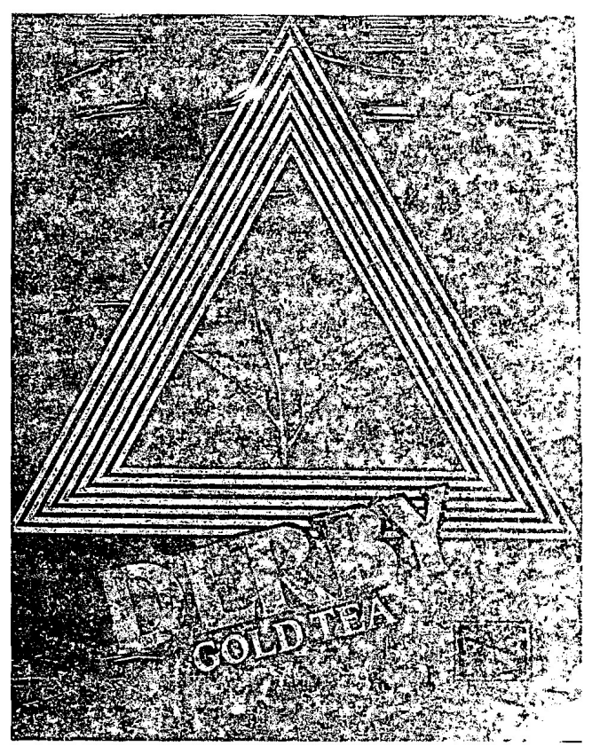 Derby Tea Device mark 576740 Trademark