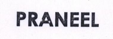 Praneel Device mark 1528961 Trademark