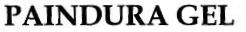 Paindura Gel Device mark 1874247 Trademark