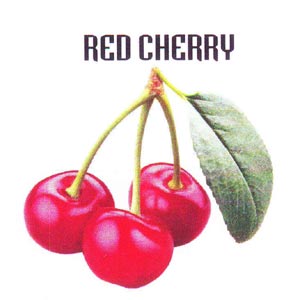 Red Cherry Device mark 1904972 Trademark