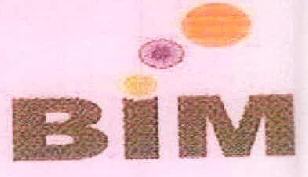 Bim Device mark 2561838 Trademark