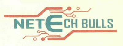 Netech Bulls (device) Device mark 2672764 Trademark